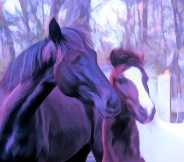 istock Best Friends Pinto Pony and Black Andalusian Mare 1091282934