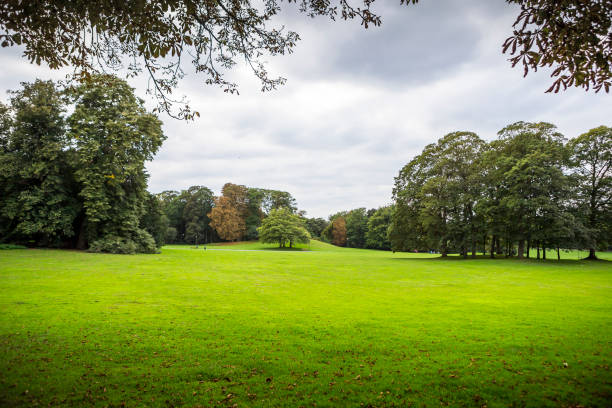 istock Beautiful park in Brussels, Belgium 1091283012
