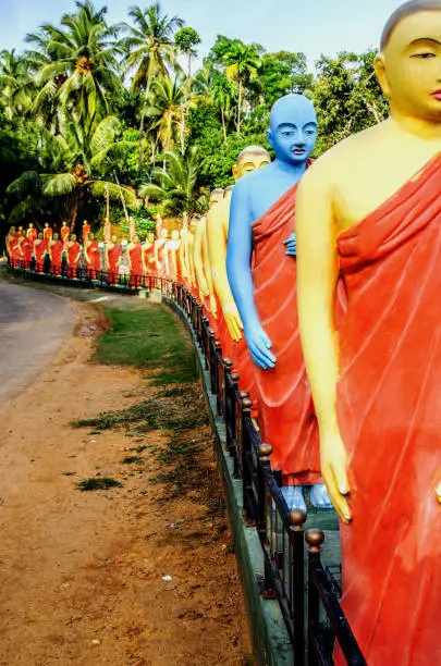 A statue of a monk colored in blue among the statues of monks standing in a row in one of the Buddhist temples of Sri Lanka.