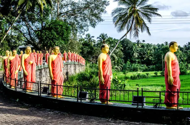 Statues of monks standing in a row, in one of the temples of Sri Lanka.