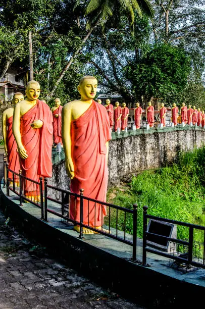 Statues of Buddhist monks standing in a row in one of the temples of Sri Lanka.
