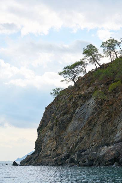 istock Trees, Rock and Sea 1091295388