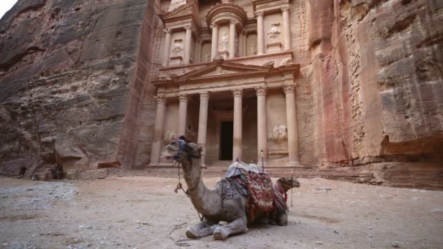 Camel infront of Al-Khazneh in Petra