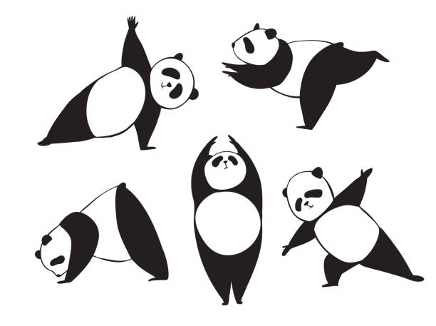 Panda in different joga pose. Black and white vector illustration. Simple bear who does sport exercises Panda in different joga pose. Black and white vector illustration. Simple bear who does sport exercises chinese panda stock illustrations