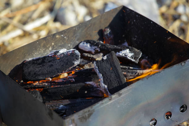 istock smoldering firewood in the grill 1091301758