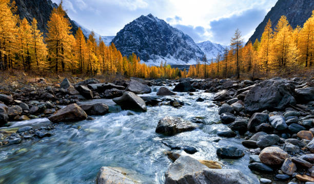 paesaggio autunnale con il fiume aktru e il picco karatash. monti altai. repubblica dell'altaj. siberia. russia - larch tree stone landscape sky foto e immagini stock