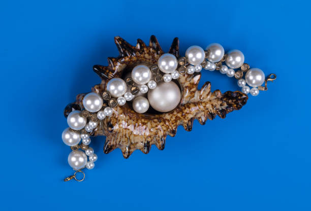 istock jewelry sea shell with a pearl necklace 1091303624