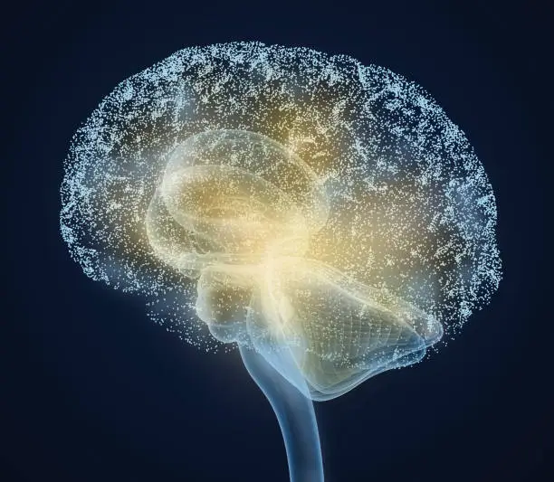 Photo of Human brain X-ray scan , Medically accurate 3D illustration