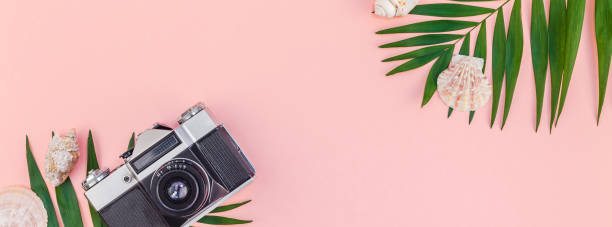 istock Tropical palm leaves vacations pink background 1091306496