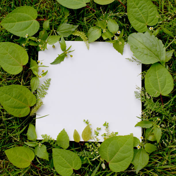 istock White sheet of paper 1091311276
