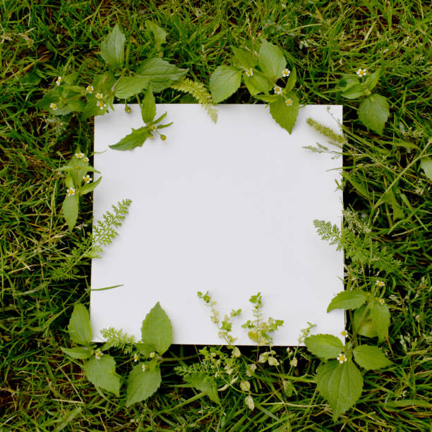 White sheet of paper