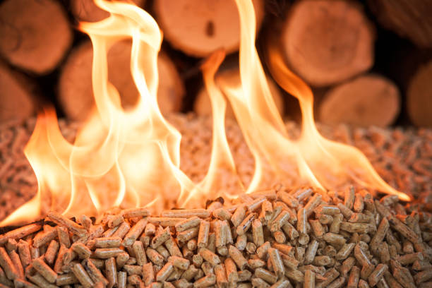 istock Wooden biomass - pellets 1091315116