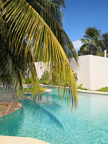 istock Mexican pool in resort 1091331386