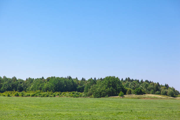 istock green meadow and forest under the blue sky 1091333834