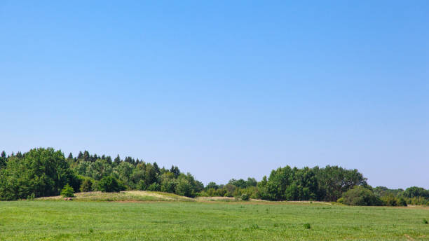 istock green meadow and forest under the blue sky 1091333840