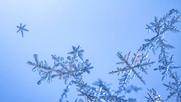 istock Beautiful snow flake on a light blue background close up 1091335298