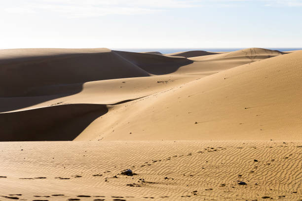 istock Gran Canaria dunes - Maspalomas sand desert landscape. Spain 1091337564