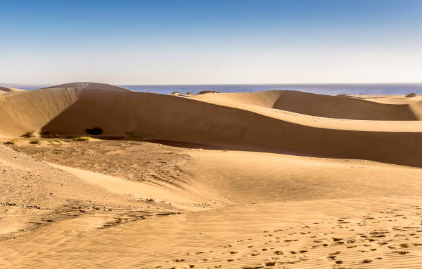 istock Gran Canaria dunes - Maspalomas sand desert landscape. Spain 1091338000