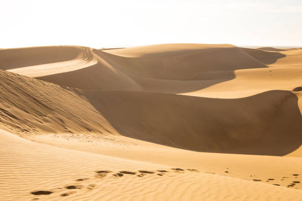 istock Gran Canaria dunes - Maspalomas sand desert landscape. Spain 1091338090