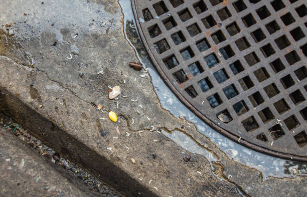 istock Food waste on street 1091338568