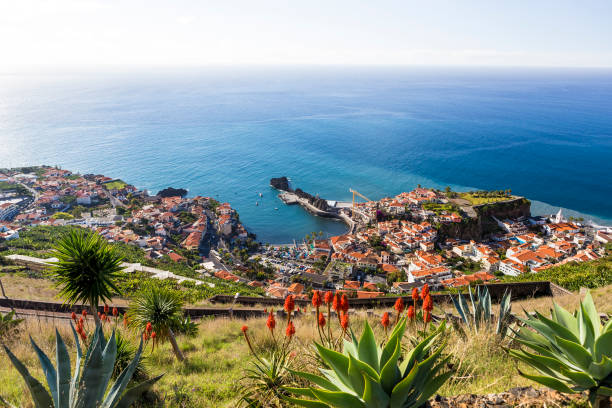 Landscape of Madeira from Miradouro da Torre, Portugal Landscape of Madeira from Miradouro da Torre, Portugal funchal stock pictures, royalty-free photos & images