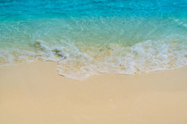 istock Wave of tropical sea beach on white sand 1091346890