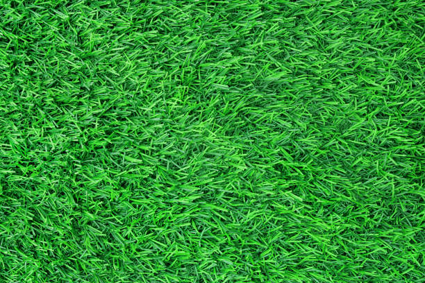 istock Top view of artificial grass, green grass texture background. 1091350616