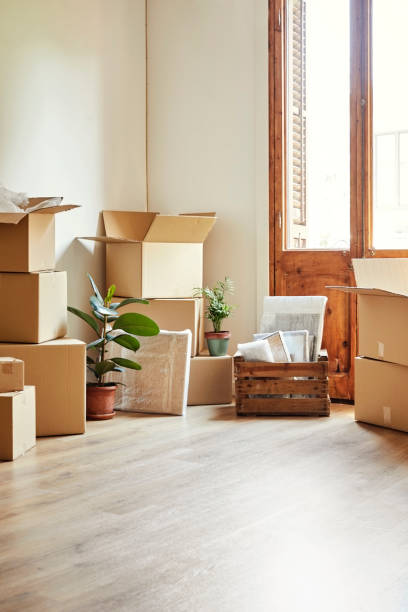 istock Cardboard boxes and potted plants in new house 1091358048