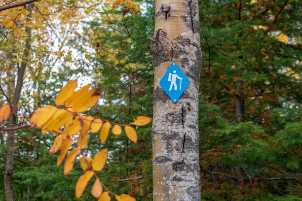 Hiking trail symbol on tree blue hiking trail blaze on tree in Autumn upper peninsula michigan map stock pictures, royalty-free photos & images