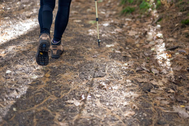 istock Woman with walking stick in woods 1091363780