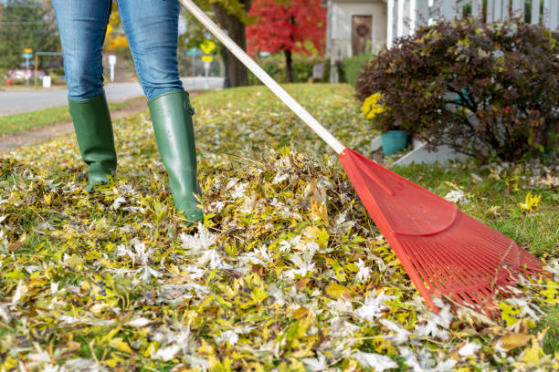 istock Woman raking leaves in Autumn - low angle 1091363830