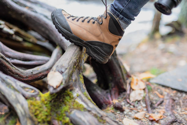istock Closeup of hiking boot on stump in forest 1091365452