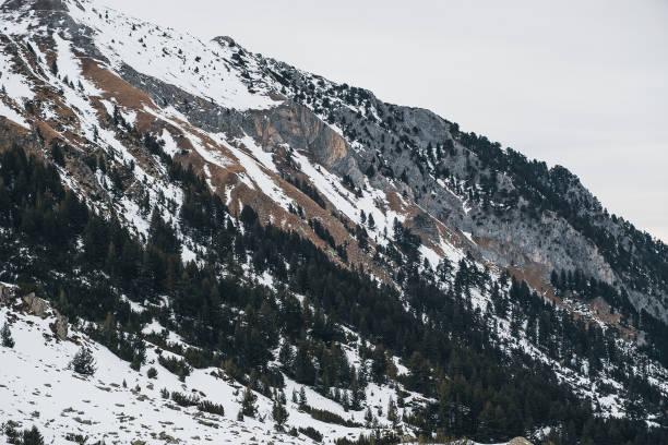istock Mountains winter landskape, stone and trees 1091382830