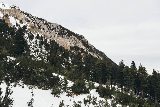 istock Mountains winter landskape, stone and trees 1091382872