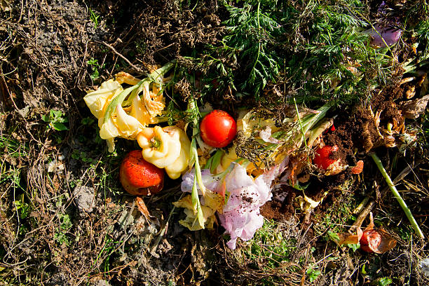 istock Details of a compost heap 109138422
