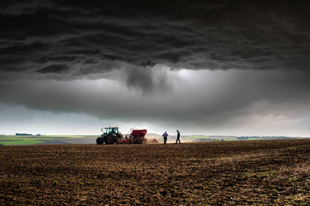 agricoltore al lavoro sotto tempesta - storm wheat storm cloud rain foto e immagini stock