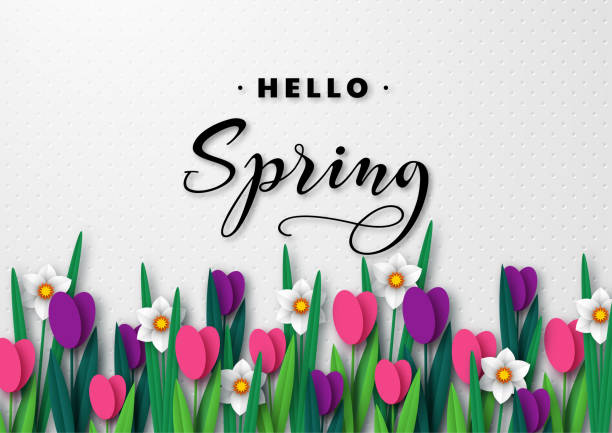 ilustrações de stock, clip art, desenhos animados e ícones de hello spring seasonal greeting banner. - leaf flower head bouquet daffodil