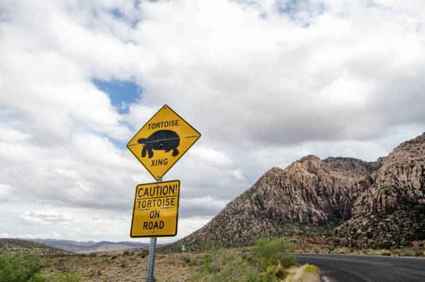 segnaletica stradale per l'attraversamento della tartaruga del deserto, avvertendo i conducenti della presenza animale - desert tortoise foto e immagini stock