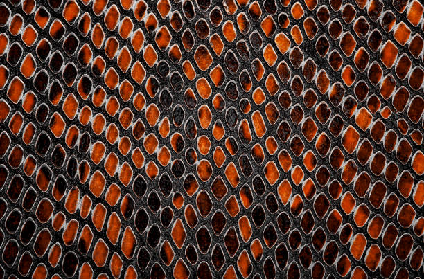 istock Snake skin background. Brown color. 1091395326