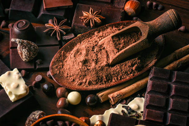 istock Close up of cocoa powder with assorted chocolate, nuts and dried fruit in old fashioned style 1091409444