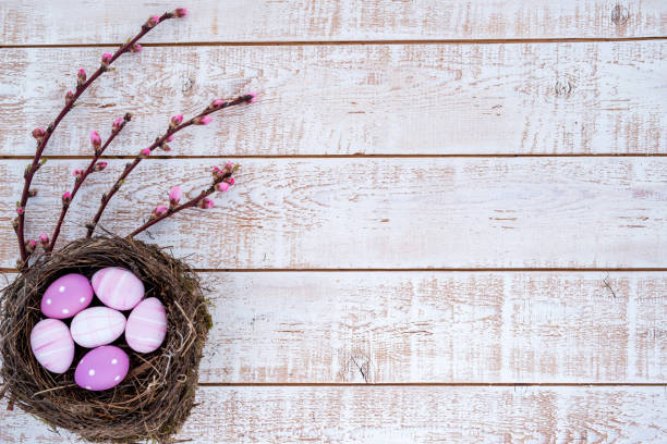 istock Easter background with colorful eggs in a nest over white wooden rustic table - copy space 1091409662