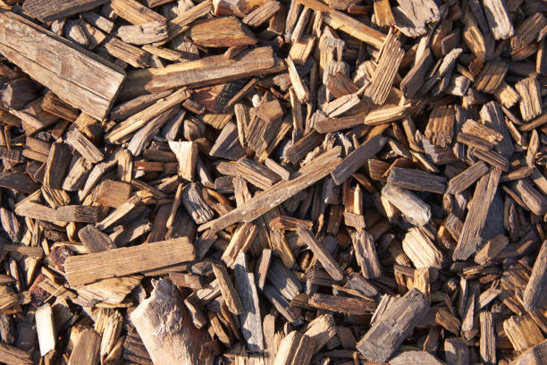 istock Small pieces of wood and bark in bright sunlight. Texture, background 1091411984