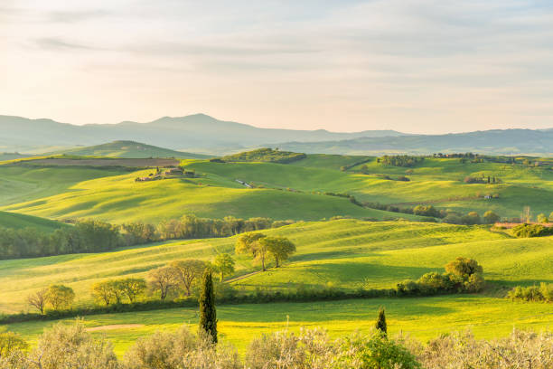 istock Rural Tuscany landscape in early spring morning 1091412040