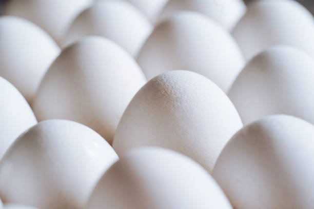 istock White chicken eggs in a carton. 1091416080