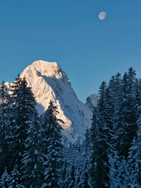 This picture was shot in Austria after it had snowed the day before.