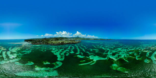 istock Photos of Martinique 1091422094