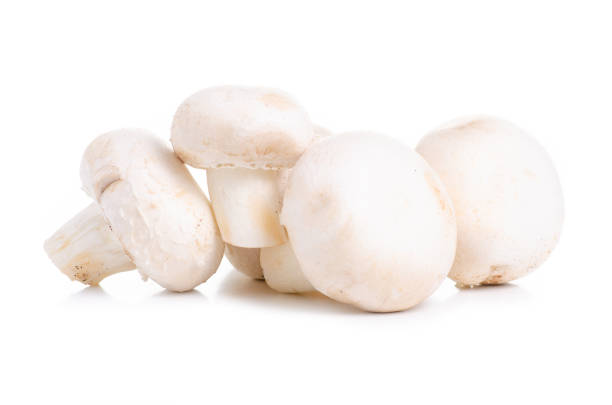 Champignon mushrooms food in hand on a white background isolation