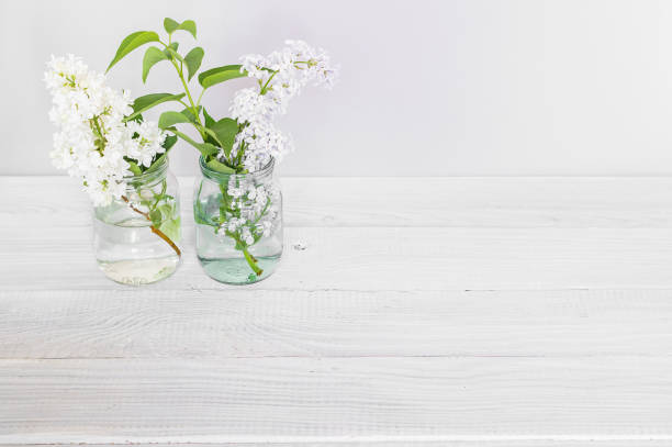 istock Two branches of blooming multicolored lilac in glass jars 1091427062