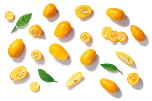 Kumquats (Citrus japonica fruits) whole, sliced and halved, leaves, top view