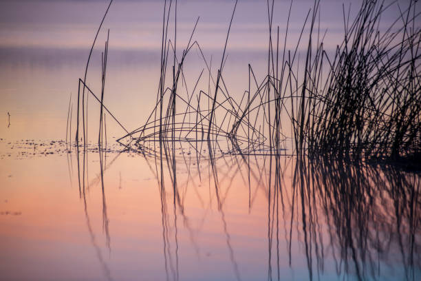 istock colorful misty sunset on the river in summer 1091430642